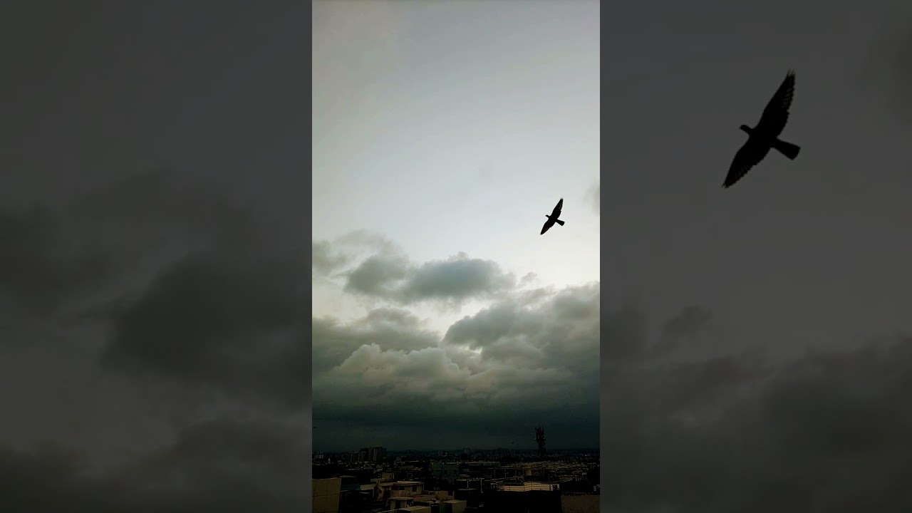 Time lapse Clouds | Morning Scene 