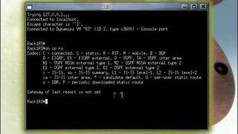 Dynamips with Feisty and Beryl