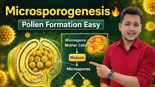 Microspore & Microsporogenesis Explained Clearly | Pollen Formation Made Easy | Full Concept