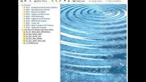 How to Check the Kernel Version of an SAP System #Shorts #TheSAPBasis