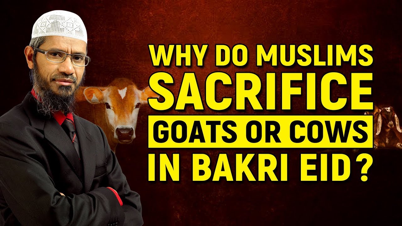 Why Do Muslims Sacrifice Goats Or Cows In Bakri Eid Dr Zakir Naik Youtube 