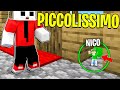 ENTRO NEL PASSAGGIO SEGRETO PIÙ *PICCOLO* DI MINECRAFT!