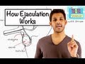 How Ejaculation Works - Episode 19