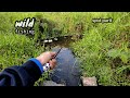 Seru || mancing di alam liar