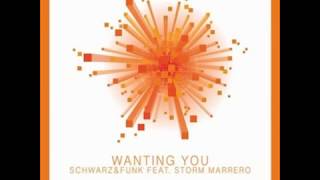 Schwarz & Funk ,Storm Marrero - Wanting You (Miller Cruz Brazil Mix)