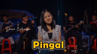 Pingal ( Ngatmombilung ) - Cover By Dapur Musik Project Live Session