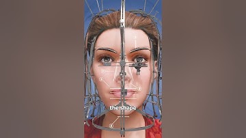 The Machine That Measured Beauty 🤔