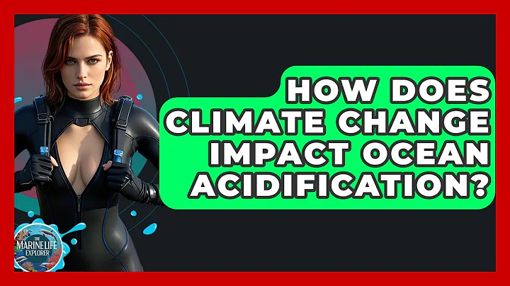 How Does Climate Change Impact Ocean Acidification? - The Marine Life Explorer