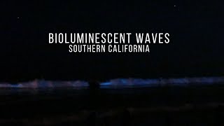 Blue Bioluminescent Waves in Southern California San Clemente [WATCH IN 1080P] Almost Gone !