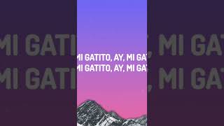Montagem Miau (Slowed) - Lenar | #phonkmusic