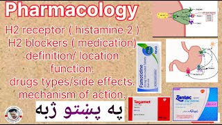 H2 blockers/ H2 receptor histamine 2 definition types  mechanism of action /side effects on pashto