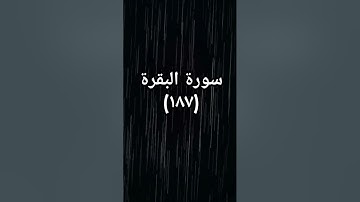 #القرآن_الكريم #اكسبلور #sheikhmansouralsalimi #دويتو #تيك_توك #duet #حالات_واتس #سورة_البقرة #لايك