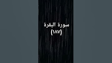 #القرآن_الكريم #اكسبلور #sheikhmansouralsalimi #دويتو #تيك_توك #duet #حالات_واتس #سورة_البقرة #لايك