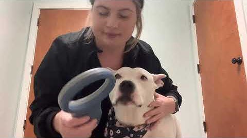 Penn Foster Externship 1 Skill 24 Microchipping