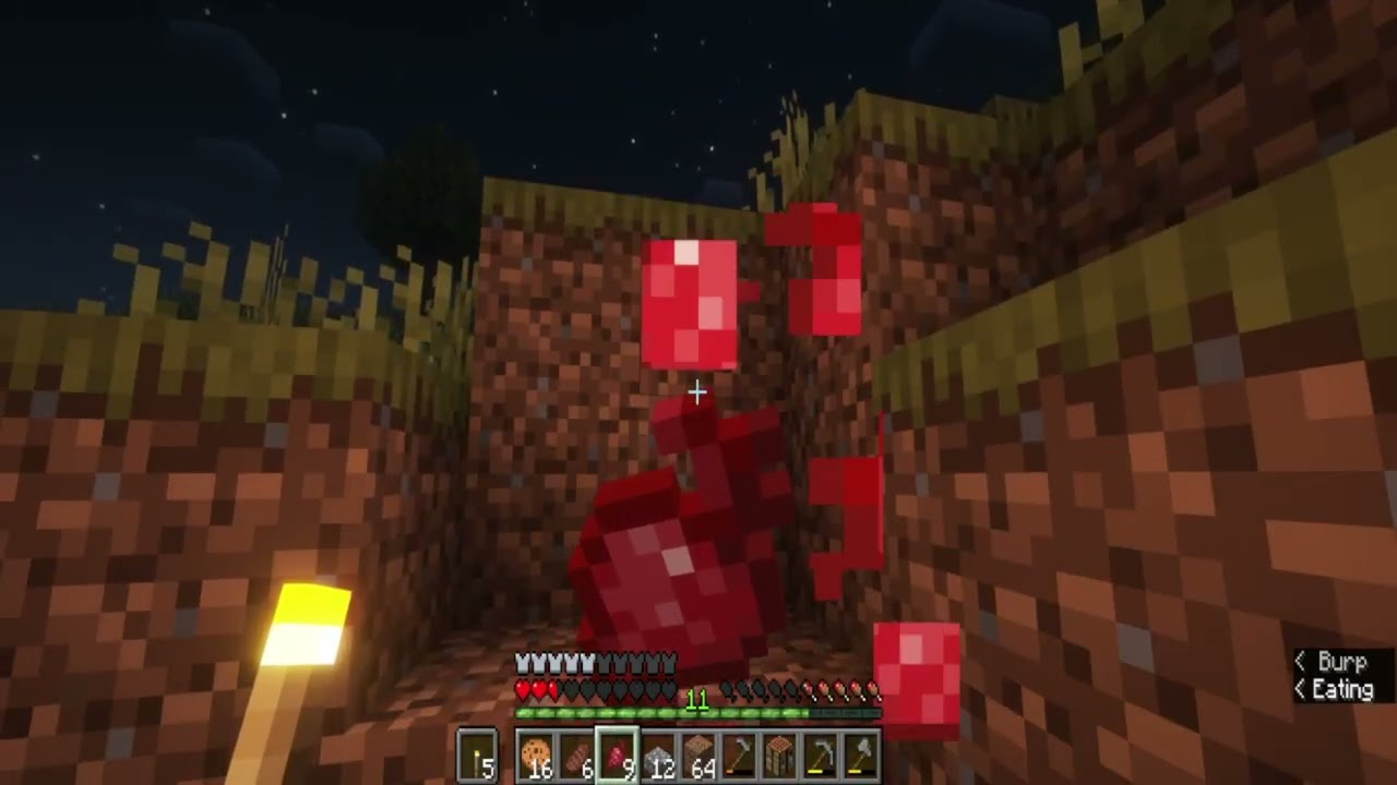 The Road to Insanity -- LAB Minecraft