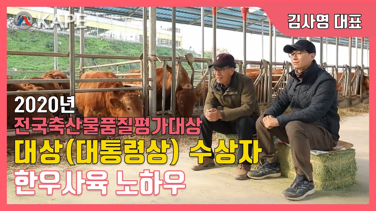 [한우농가 한 바퀴] 한우사육 우수농가를 찾아가다! - 김사영 농가편
