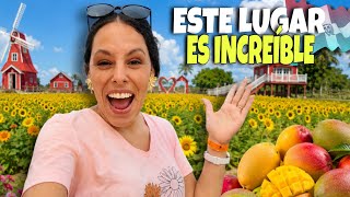 😱Mi papá SE QUEDÓ LOCO con este lugar en República Dominicana 🇩🇴 | Feria del Mango Baní
