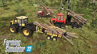 Farming Simulator 22 #26 - Duy Làm Lâm Tặc, Duy Tặc !! screenshot 1