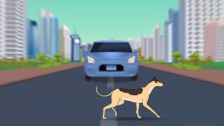 Stopping Distance Story