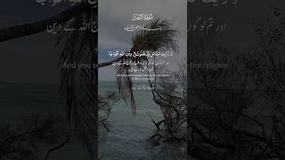 Surah An-Nasr | Healing Quran Recitation #koran #koranrezitation #alquran