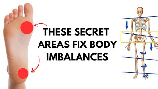 The Shocking Area That Will Fix Your Imbalances Once And For All