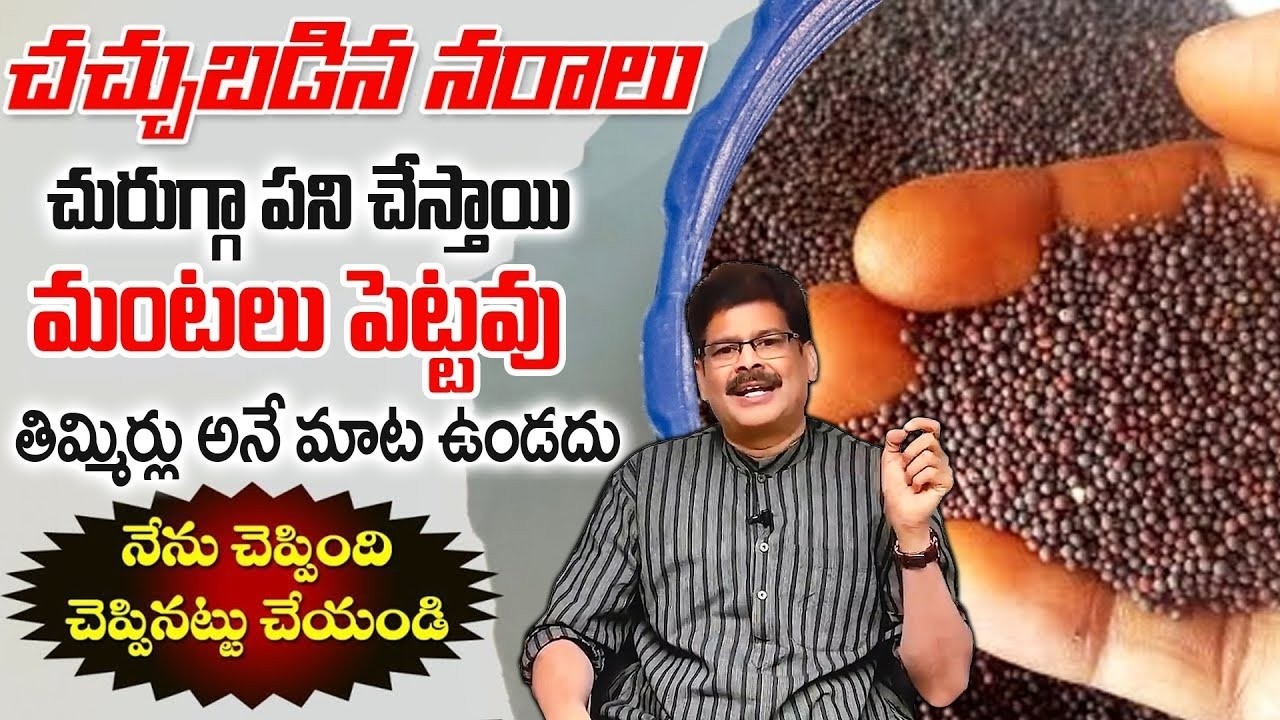 ఈ గింజలు తింటే చచ్చు బడిన నరాలు చురుగ్గా పనిచేస్తాయి || Omega Rich Seeds || Dr.Manohar Reddy