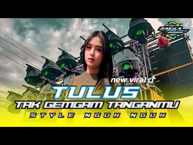 DJ TAK GEMGAM TANGANMU TAK ELUS PIPIMU | DJ TULUS BAS NGUK NGUK VIRAL TIK TOK TERBARU zakila project class=