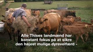 Præsentation af Thise Mejeri