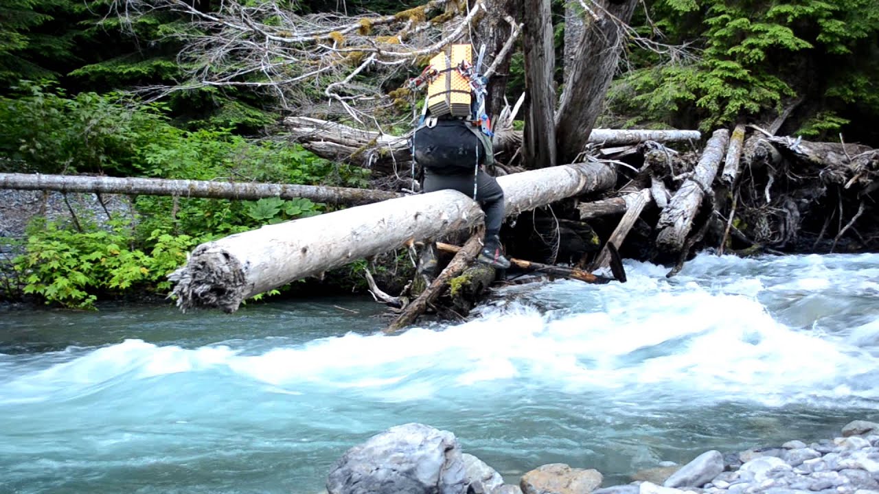 Crossing North Fork Quinault River at Sixteen Mile Camp 73011 YouTube