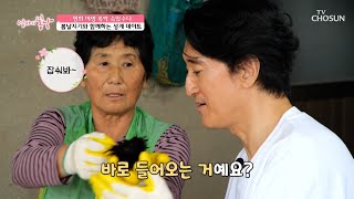 갓 잡은 성게를 손질까지💫 물질 후에도🤿 끝나지 않는 해녀 어멍의 일😅 TV CHOSUN 250629 방송 | [엄마의 봄날] 511회 | TV조선