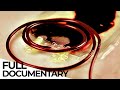 Blood Business: How the Plasma Industry Works | ENDEVR Documentary