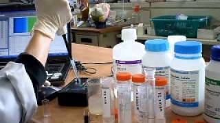 IB Chemistry iodine clock reaction kinetics with hydrogen peroxide using visible spectrophotometer