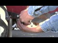 How to replace the ratchet pawls on a millcreek spreader