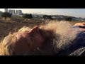 Time to love one another! - prophetic message - video from 2018!