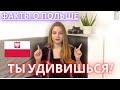 Что меня ДО СИХ ПОР удивляет в Польше? Вы об этом не знали! Интересные факты.