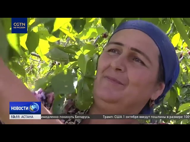 Синьцзян превращается в глобальный бизнес-хаб