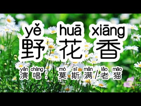 Chinese - 中国語歌ピンイン付き《野花香》learn Chinese with pop song 听歌学中文44欢快歌曲《野花香》DJ