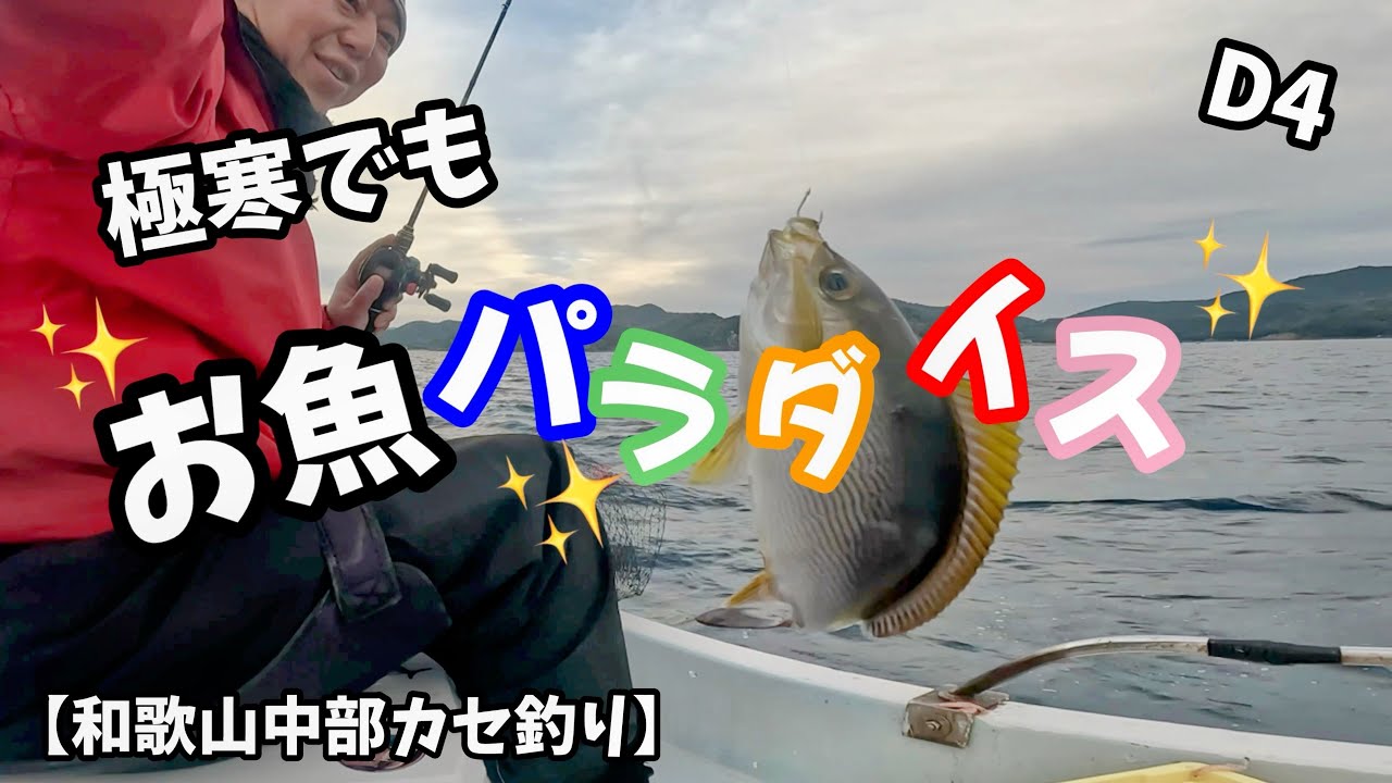 D4【さかむら筏であれこれ狙ってみた🤣💕】in和歌山中部