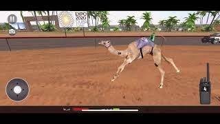 سباق الهجن 2020 screenshot 5