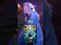 Did You Notice These 5 Things In Rio 2 Did You Notice These 5 Things In Rio 2