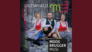 Video thumbnail of "Moosbrugger Musi - Ehrensache"