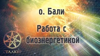 Бали. Работа с биоэнергетикой Бали. Работа с биоэнергетикой