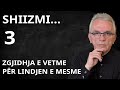 SHIIZMI 3 Ndonjë Marrëveshje E Vestfalisë Në Lindjen E Mesme Kush Po E Pengon SHIIZMI 3 Ndonjë Marrëveshje E Vestfalisë Në Lindjen E Mesme Kush Po E Pengon