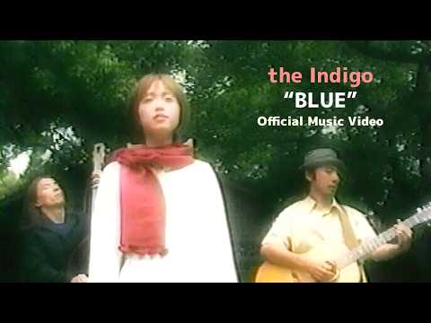 the Indigo - 