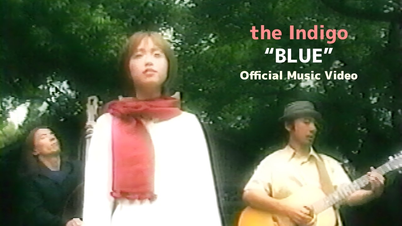 the Indigo - 