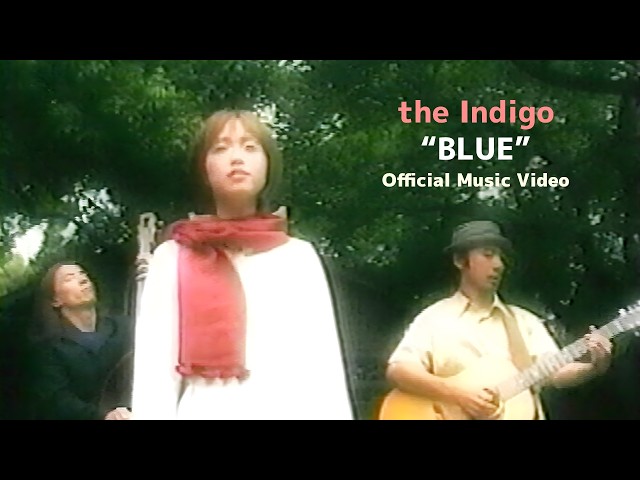 the Indigo - 