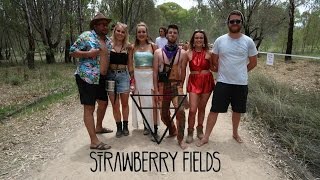 Strawberry Fields 2016