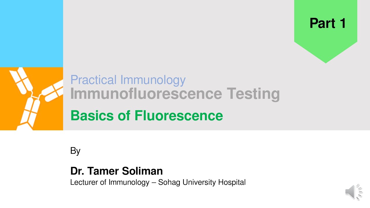 IIF - Part 1: Basics of Fluorescence | Dr. Tamer Soliman - YouTube