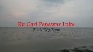 Ku Cari Penawar Luka - Black Dog Bone (Lirik hjz)