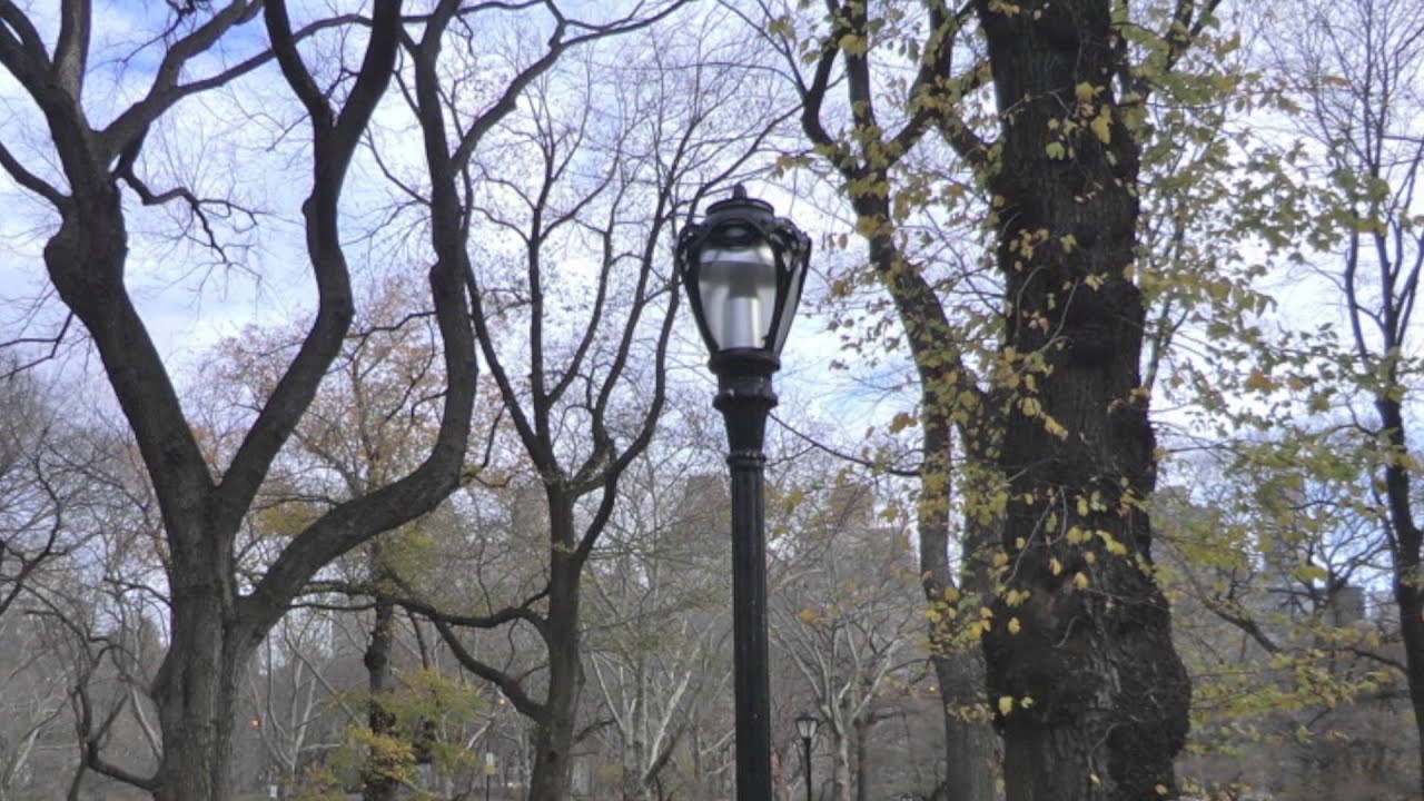 Watch Wayne Cunnington : Heavens Air Project - Changing Seasons on YouTube Watch Wayne Cunnington : Heavens Air Project - Changing Seasons on YouTube